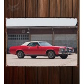 Металлическая табличка Mercury Cougar 417
